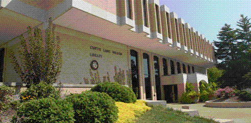 mstlibrary.gif